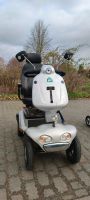 Elektro-Scooter Scooter E-Mobil Sachsen-Anhalt - Haldensleben Vorschau