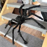 NEU 90 cm ! Halloween XXL riesige große Spinne Horror Dekoratio Wandsbek - Hamburg Hummelsbüttel  Vorschau