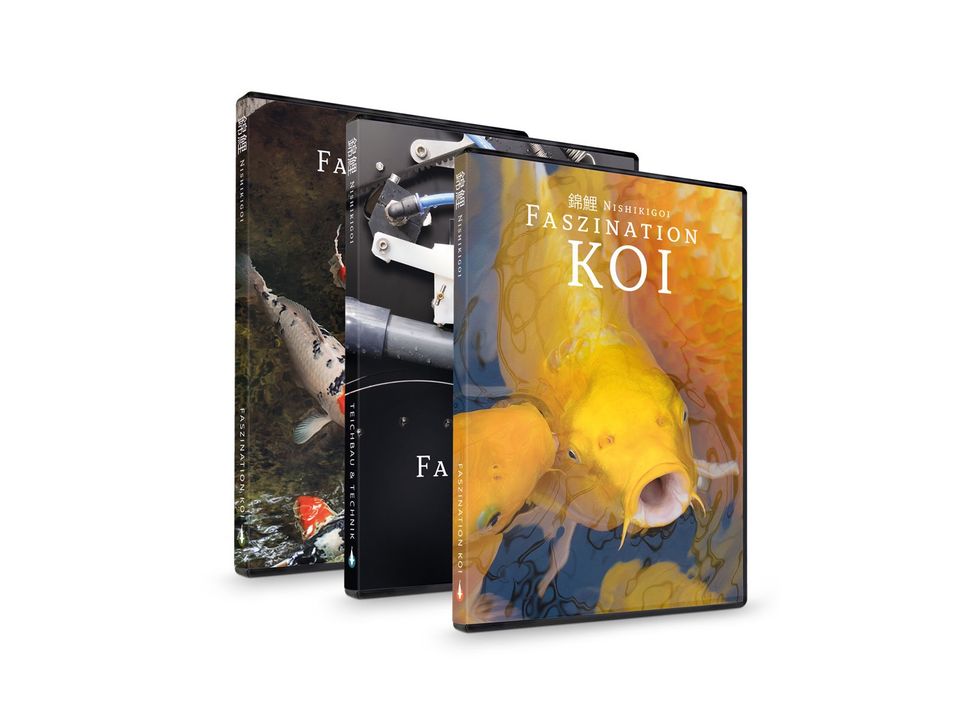 Koi Film Ratgeber - Faszination Koi | DVD BOX (Teil 1-3) in Waldfeucht