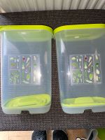 2x Tupperware Vorratsdosen Spargel Hessen - Bad Hersfeld Vorschau