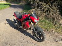 Gilera DNA Hessen - Lich Vorschau