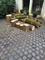 Feuerholz Brennholz Akazienholz Harburg - Hamburg Hausbruch Vorschau