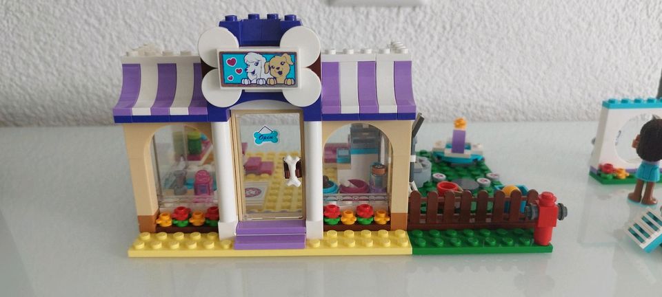 LEGO Friends 41124 in Illertissen