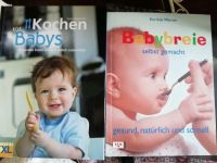 Kochbuch Babybreie selbst gemacht Kochen für Babys Bayern - Durach Vorschau
