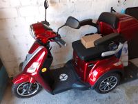 Rolektro E-Trike 25 V.2 rot Nordrhein-Westfalen - Mettmann Vorschau