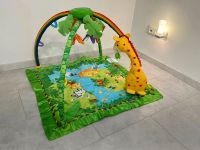 Fisher-Price Safari - Baby Krabbelbogen mit Musik zu verkaufen. Nordrhein-Westfalen - Windeck Vorschau