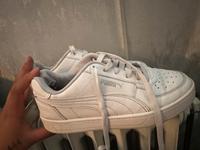 Puma Sneaker Bayern - Amberg Vorschau