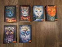 Warrior Cats Bücher Rheinland-Pfalz - Mülheim (Mosel) Vorschau