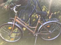 Damenfahrrad  26 Zoll Sachsen - Zwickau Vorschau