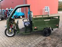 3Rad AMR Elektro Cargo mit Kabine APE Pritsche Kipper 400 Big Volta TUKTUK Lastendreirad TUCK TUCK MEGA CABIN Geco Stormborn Green Speed Lastenrad Futura Elektrofrosch Frosch Runner Greenspeed Tuk Tuk Hessen - Neukirchen Vorschau