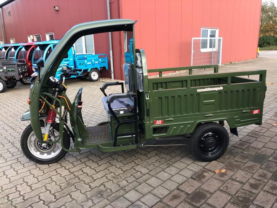 3Rad AMR Elektro Cargo mit Kabine APE Pritsche Kipper 400 Big Volta TUKTUK Lastendreirad TUCK TUCK MEGA CABIN Geco Stormborn Green Speed Lastenrad Futura Elektrofrosch Frosch Runner Greenspeed Tuk Tuk in Neukirchen