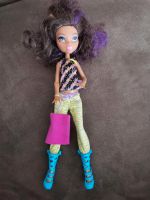 Monster high clawdeen Wolf Hamburg - Bergedorf Vorschau