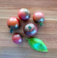 Tomatensamen, Sorte Rosella, Saatgut, Tomaten Rheinland-Pfalz - Dreisbach Vorschau
