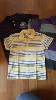 4 Polo Shirts Gr 128 (u.a. Tom Tailor) Dresden - Loschwitz Vorschau