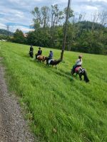 Reitmädels gesucht Bayern - Wiggensbach Vorschau