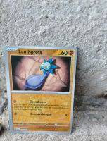 Lumispross Pokemon Karte holo Sachsen - Markersbach Vorschau