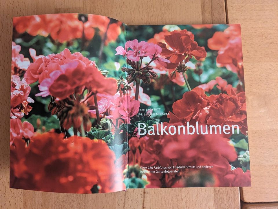 Balkonblumen Buch  Iris Jachertz in Hagen am Teutoburger Wald