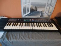 Casio CA110 E-Piano Aachen - Aachen-Mitte Vorschau