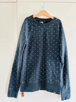 Carhartt Pullover in XS 34 36 schwarz Bayern - Regensburg Vorschau