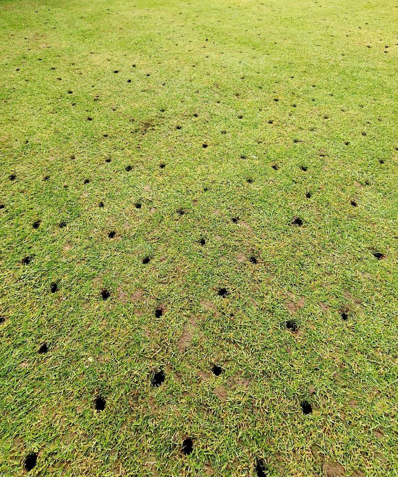 •Quarzsand• •Rasensand• •Topdressing• in Speyer