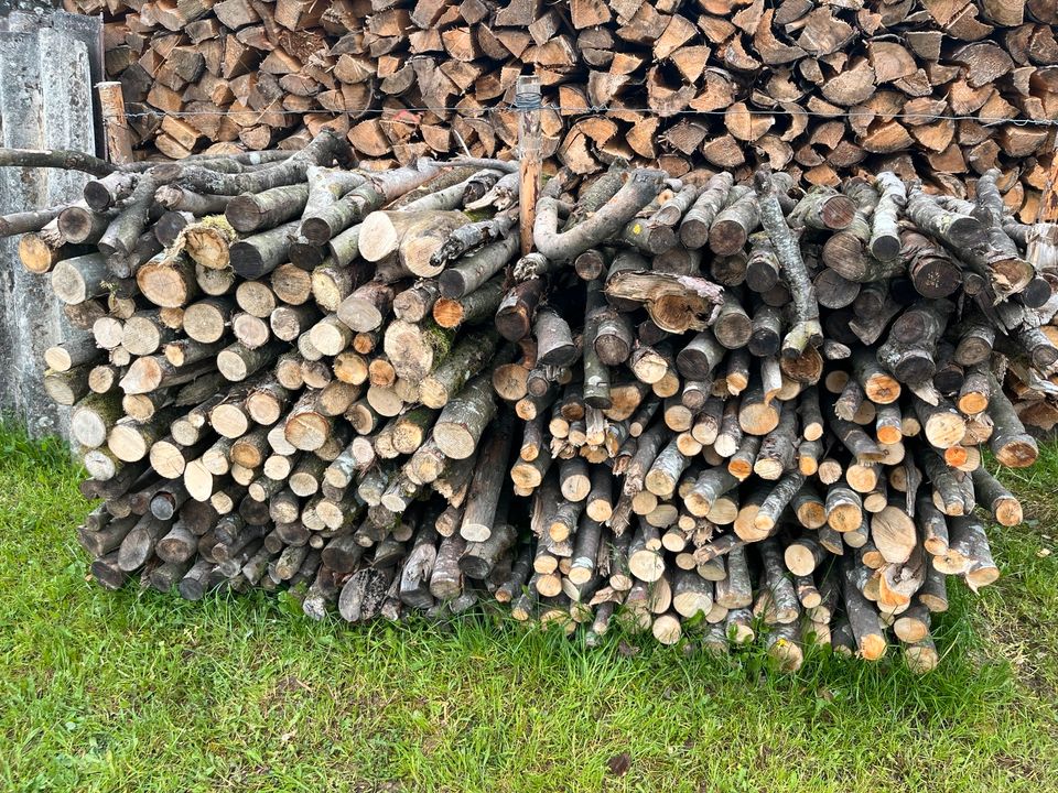 Brennholz Kaminholz Buche Äste in Wassertrüdingen