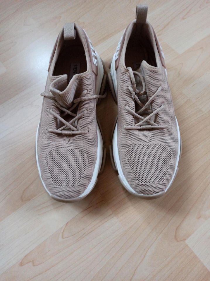 STEVE MADDEN - Protege - Damen Sneaker - 39 in Gärtringen