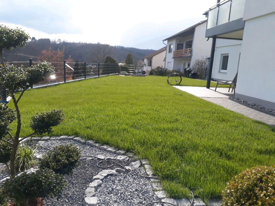 Garten und landschaftsbau Gartengestaltung Bagger arbeiten... in Siegen