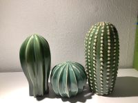 Ikea Porzellan Kakteen Kaktus West - Nied Vorschau