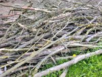 Heckenschnitt Äste Holz als Lagerfeuerholz zu verschenken Baden-Württemberg - Hohenfels Vorschau