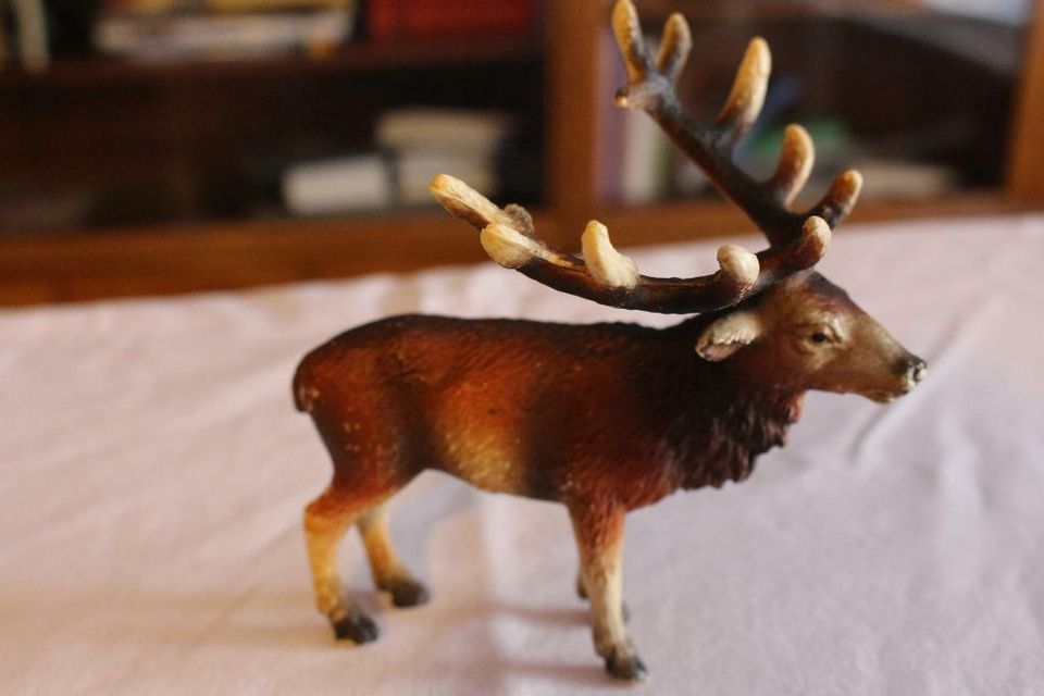 Schleich Hirsch 14231 in Bröckel