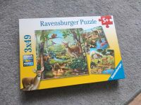 Ravensburger Puzzle 3x49 Sachsen - Oschatz Vorschau