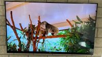 LG Fernseher 55LM760S # ToP Niedersachsen - Holle Vorschau