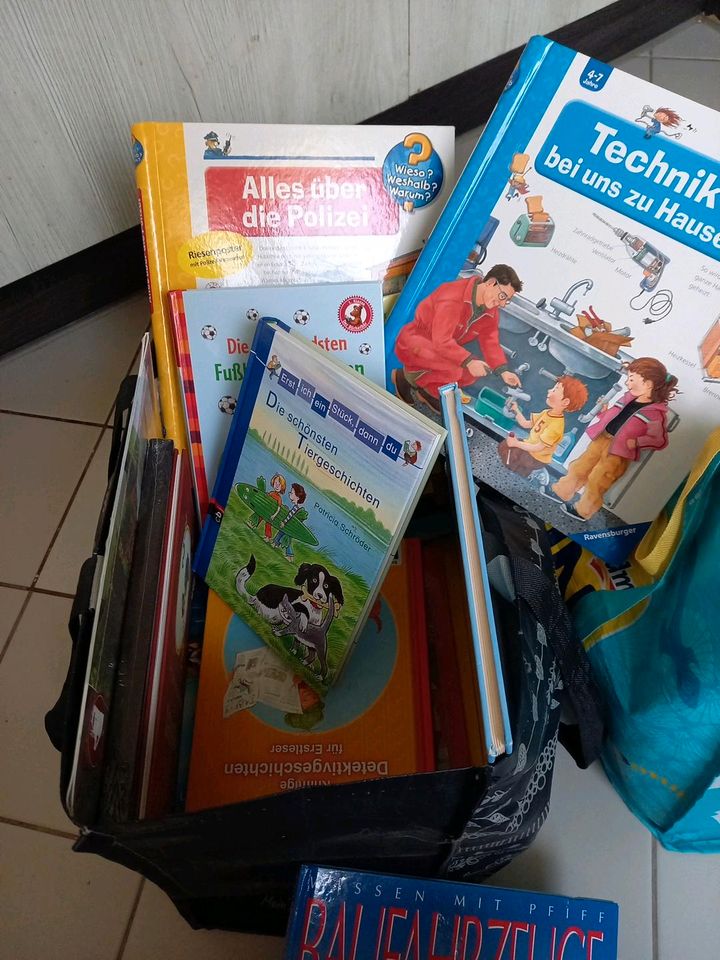 Erstlesebücher, Kinderbücher in Dresden