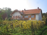 Haus am Weinberg in Sitke (Ungarn) Baden-Württemberg - Grenzach-Wyhlen Vorschau