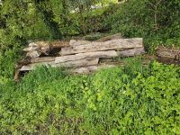 Holz, Spaltholz, Eichenspaltholz, Weidezaunpfosten Uetze - Uetze Eltze Vorschau