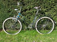 Triepad Tripad Fahrrad Rh 55cm Nordrhein-Westfalen - Dinslaken Vorschau