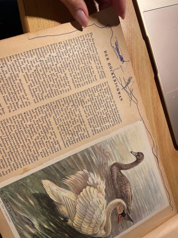 Heft Buch Zeitschrift Unsere Vogelwelt Berliner Morgenpost 1959 in Berlin