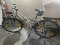 Fahrrad 24 Gänge 26 Zoll Damen Sachsen-Anhalt - Dessau-Roßlau Vorschau