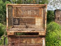 Gitterboxen, Paletten für Holz oder ähnliches Brandenburg - Zossen-Zesch am See Vorschau