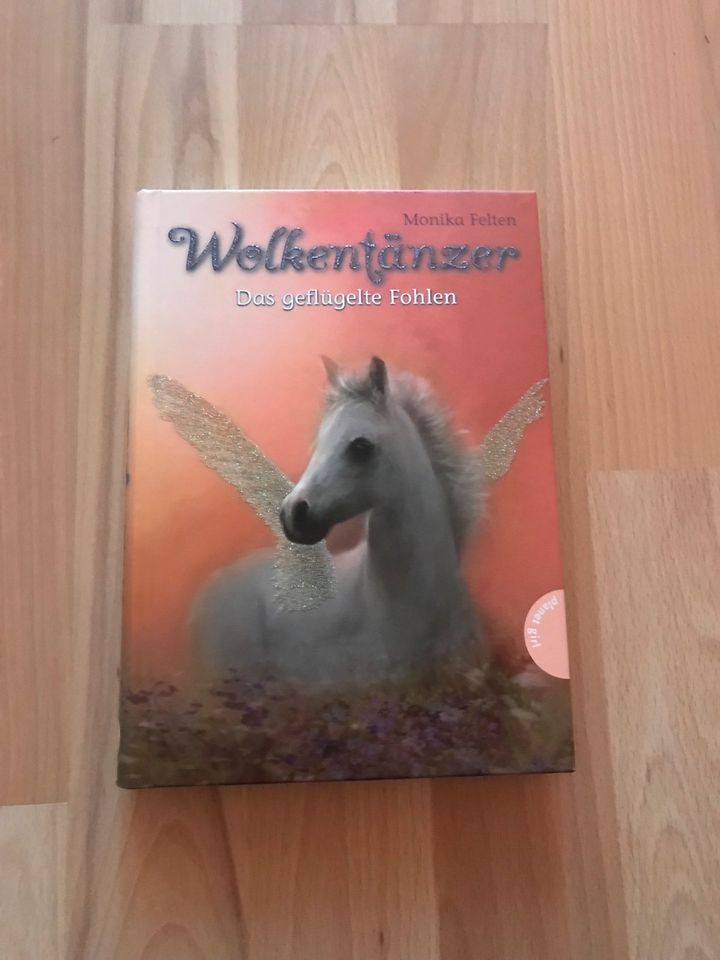 Wolkentänzer Das geflügelte Fohlen Mädchenbuch Pferdebuch in Hille