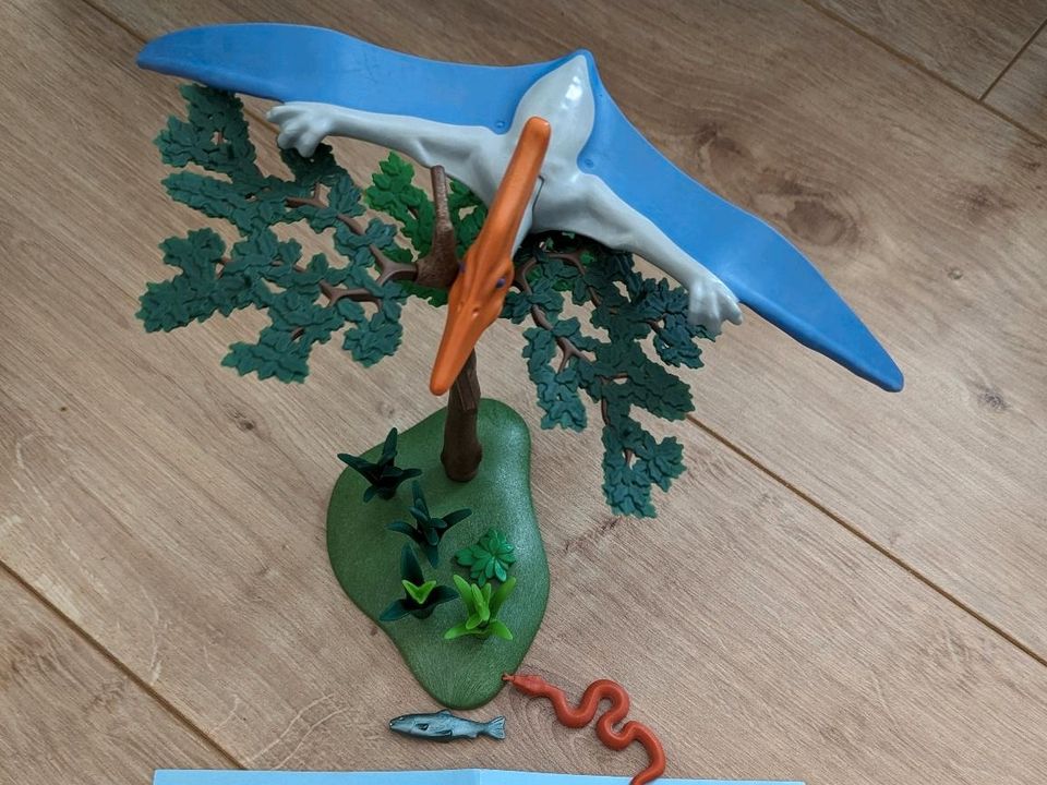 Playmobil 4173 Pteranodon in Göppingen