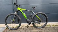 Cube e Bike Hybrid Pro 29 Zoll Baden-Württemberg - Ostfildern Vorschau