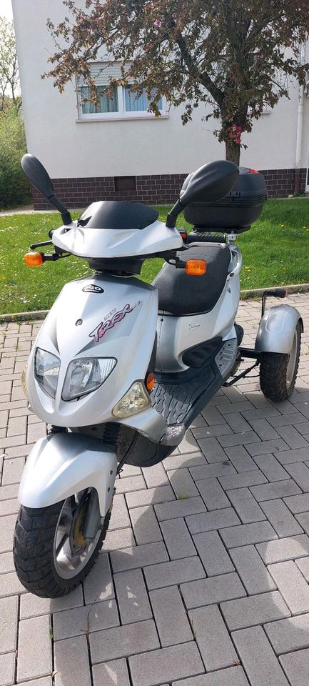 PGO TR3 50 Trike Dreirad Roller Scooter mit Rückwärtsgang Mofa in Butzbach