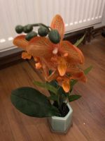 Abella Flora QVC Künstl. Orchidee Nordrhein-Westfalen - Siegburg Vorschau