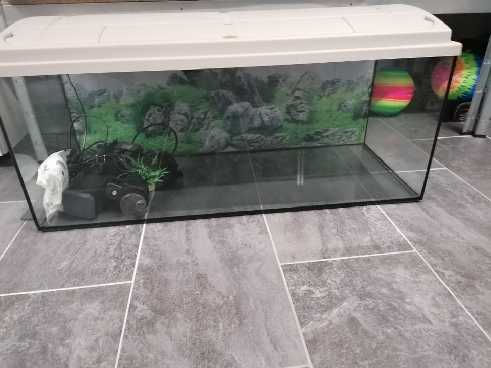 Aquarium 200l mit Filter und Futterspender in Gammertingen