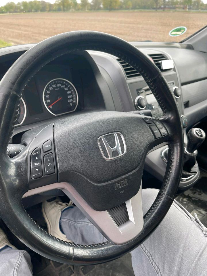 Honda CR-V in Drentwede