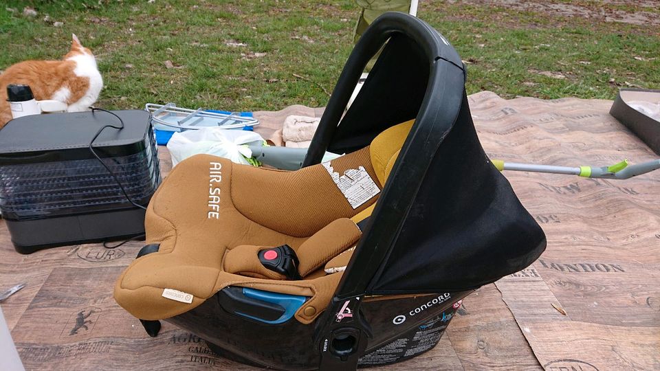 Auto-Baby Sitz in Neustadt (Dosse)