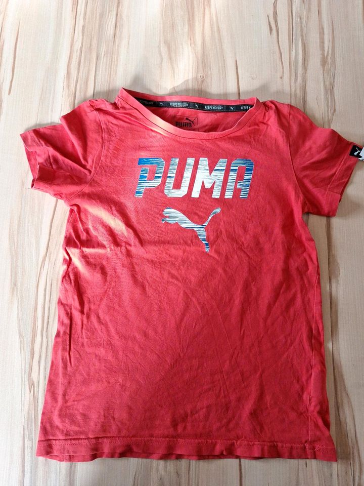 Puma Tshirt Größe 140 in Donauwörth