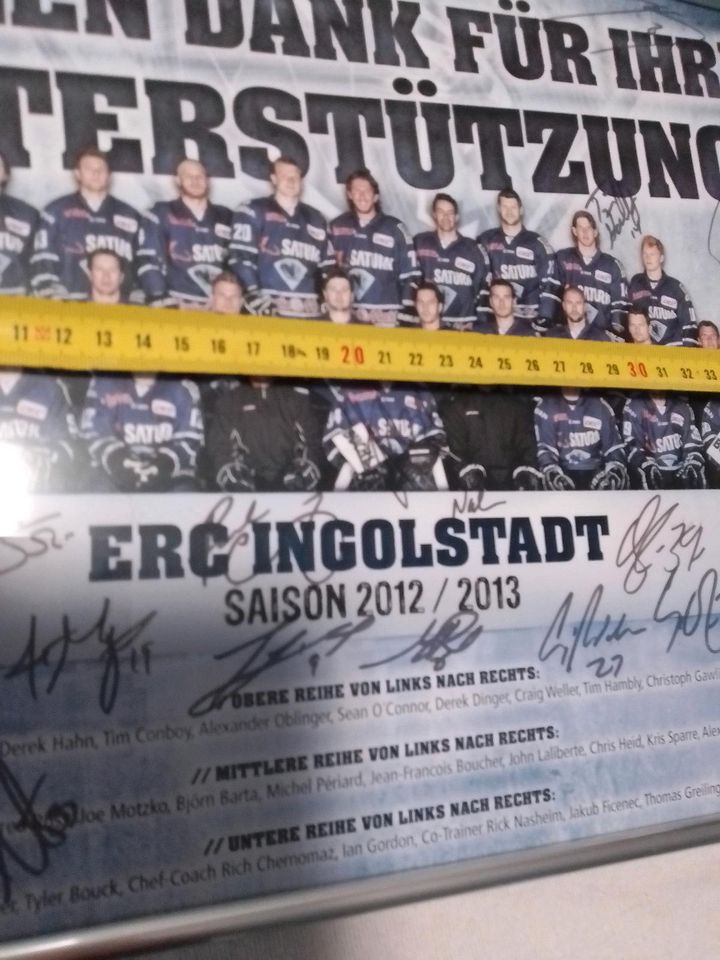 ERC Ingolstadt Bild Unterschriften Autogramm in Ingolstadt