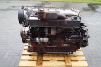 Deutz Motor BF6L 913 für Deutz Agrostar 6.61,DX6.50,DX145,DX140 Niedersachsen - Emsbüren Vorschau